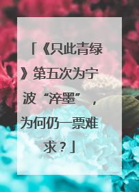 《只此青绿》第五次为宁波“淬墨”，为何仍一票难求？