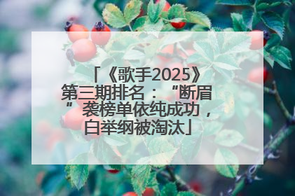 《歌手2025》第三期排名：“断眉”袭榜单依纯成功，白举纲被淘汰