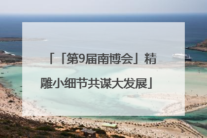 「第9届南博会」精雕小细节共谋大发展