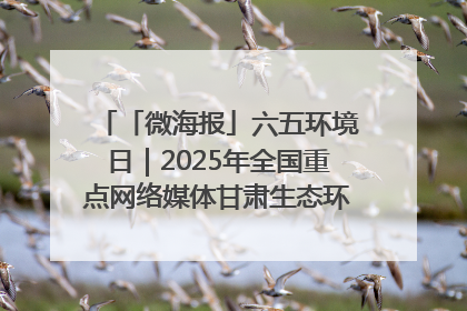 「微海报」六五环境日｜2025年全国重点网络媒体甘肃生态环保行走进兰州新区
