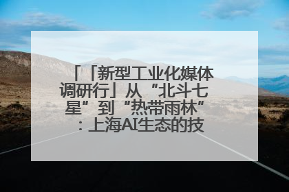 「新型工业化媒体调研行」从“北斗七星”到“热带雨林”：上海AI生态的技术商业共生密码