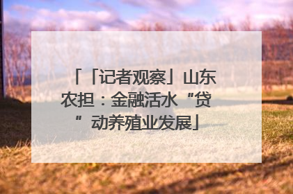 「记者观察」山东农担：金融活水“贷”动养殖业发展