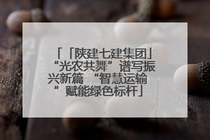 「陕建七建集团」“光农共舞”谱写振兴新篇 “智慧运输”赋能绿色标杆