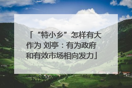 “特小乡”怎样有大作为 刘亭：有为政府和有效市场相向发力