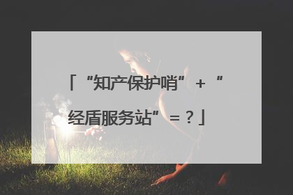 “知产保护哨”+“经盾服务站”=？