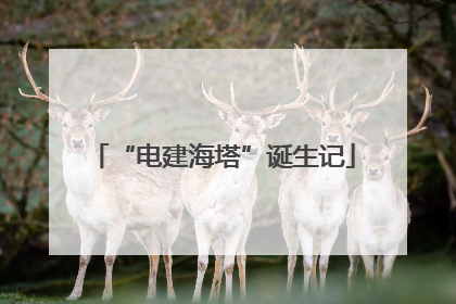 “电建海塔”诞生记