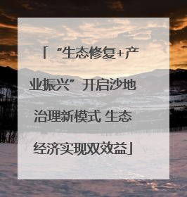 “生态修复+产业振兴”开启沙地治理新模式 生态经济实现双效益