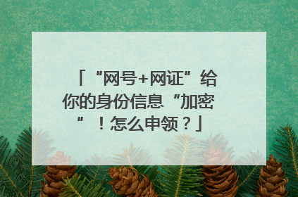 “网号+网证”给你的身份信息“加密”！怎么申领？