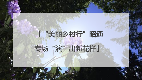 “美丽乡村行”昭通专场“演”出新花样
