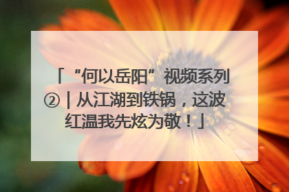 “何以岳阳”视频系列②｜从江湖到铁锅，这波红温我先炫为敬！