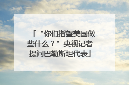 “你们指望美国做些什么？”央视记者提问巴勒斯坦代表