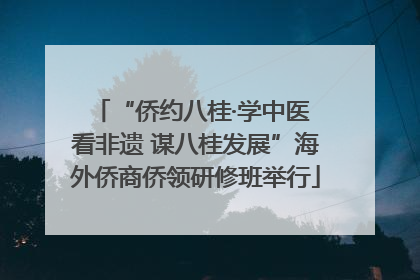 “侨约八桂·学中医 看非遗 谋八桂发展”海外侨商侨领研修班举行