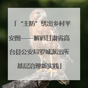 “主防”绣出乡村平安图——解码甘肃省高台县公安局罗城派出所基层治理新实践