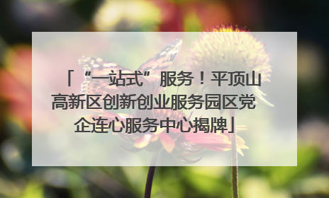 “一站式”服务！平顶山高新区创新创业服务园区党企连心服务中心揭牌