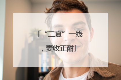 “三夏”一线，麦收正酣