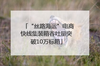 “丝路海运”电商快线集装箱吞吐量突破10万标箱