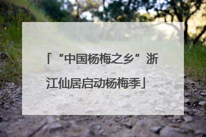 “中国杨梅之乡”浙江仙居启动杨梅季