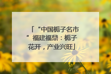 “中国栀子名市”福建福鼎：栀子花开，产业兴旺