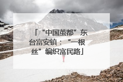 “中国茧都”东台富安镇：“一根丝”编织富民路
