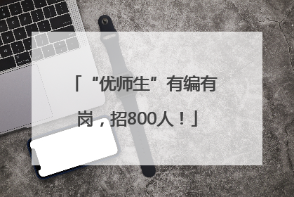 “优师生”有编有岗，招800人！