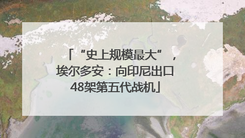 “史上规模最大”，埃尔多安：向印尼出口48架第五代战机