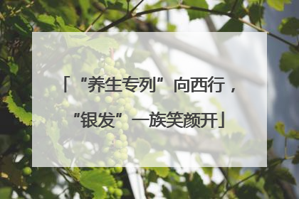 “养生专列”向西行，“银发”一族笑颜开