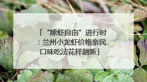 “嗦虾自由”进行时：兰州小龙虾价格亲民口味吃法花样翻新