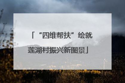 “四维帮扶”绘就莲湖村振兴新图景