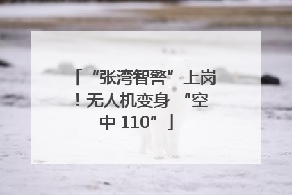 “张湾智警”上岗！无人机变身 “空中 110”