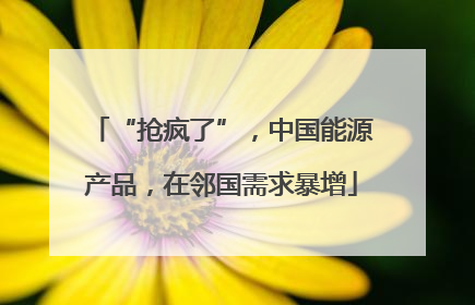 “抢疯了”，中国能源产品，在邻国需求暴增