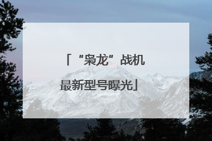 “枭龙”战机最新型号曝光