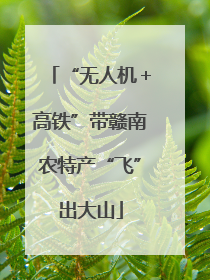“无人机＋高铁”带赣南农特产“飞”出大山