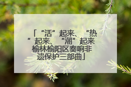 “活”起来、“热”起来、“潮”起来 榆林榆阳区奏响非遗保护三部曲