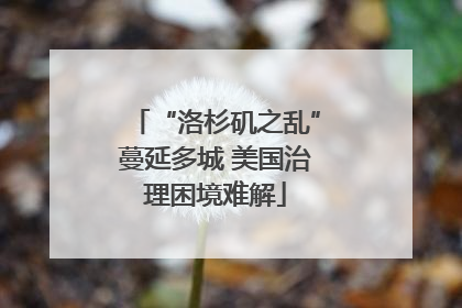 “洛杉矶之乱”蔓延多城 美国治理困境难解