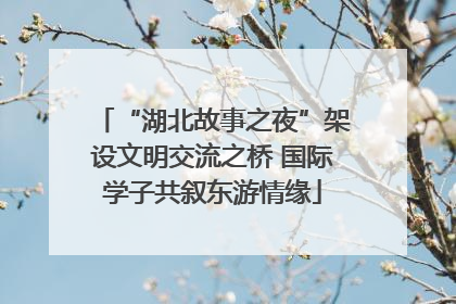 “湖北故事之夜”架设文明交流之桥 国际学子共叙东游情缘