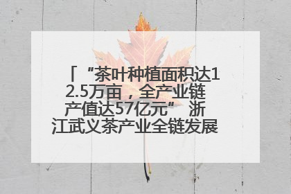 “茶叶种植面积达12.5万亩，全产业链产值达57亿元” 浙江武义茶产业全链发展“加速度”