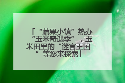 “蔬果小镇”热办“玉米奇遇季”，玉米田里的“迷宫王国”等您来探索