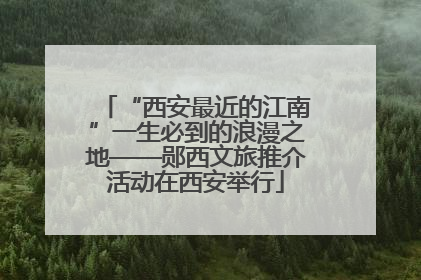 “西安最近的江南”一生必到的浪漫之地——郧西文旅推介活动在西安举行