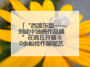 “西渡东望——刘建中油画作品展”在商丘开展 60余幅佳作展现艺术魅力