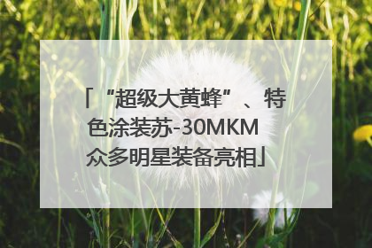 “超级大黄蜂”、特色涂装苏-30MKM 众多明星装备亮相