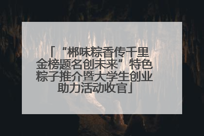 “郴味粽香传千里 金榜题名创未来”特色粽子推介暨大学生创业助力活动收官
