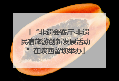 “非遗会客厅·非遗民宿旅游创新发展活动”在陕西留坝举办