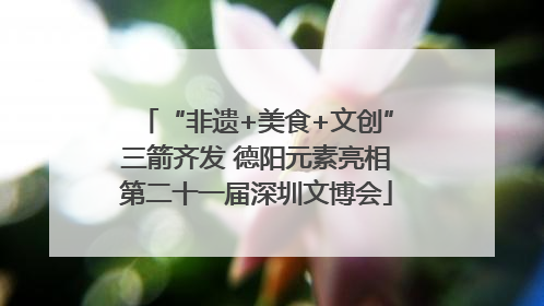 “非遗+美食+文创”三箭齐发 德阳元素亮相第二十一届深圳文博会