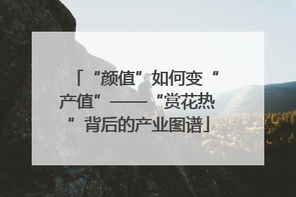 “颜值”如何变“产值”——“赏花热”背后的产业图谱