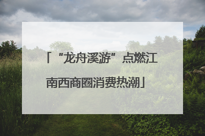 “龙舟溪游”点燃江南西商圈消费热潮