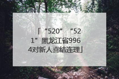 “520”“521”黑龙江省9964对新人喜结连理