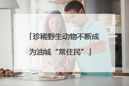 珍稀野生动物不断成为油城“常住民”