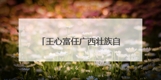 王心富任广西壮族自治区党委组织部部长