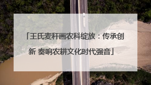 王氏麦秆画农科绽放：传承创新 奏响农耕文化时代强音