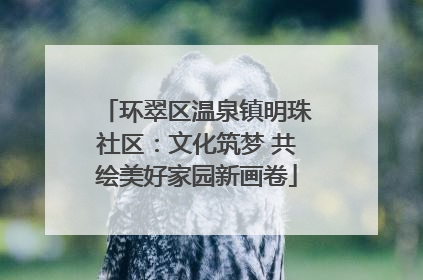环翠区温泉镇明珠社区：文化筑梦 共绘美好家园新画卷